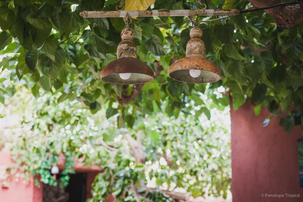 Zacharoulas Katikies Amarynthos Bagian luar foto