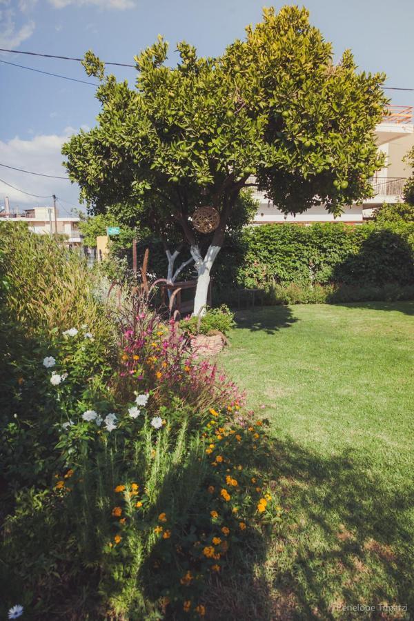 Zacharoulas Katikies Amarynthos Bagian luar foto