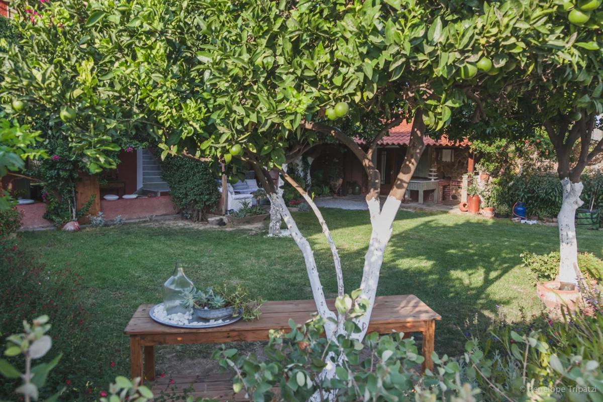 Zacharoulas Katikies Amarynthos Bagian luar foto